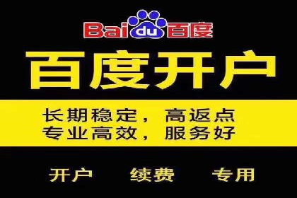 百度推广的精准营销案例解析